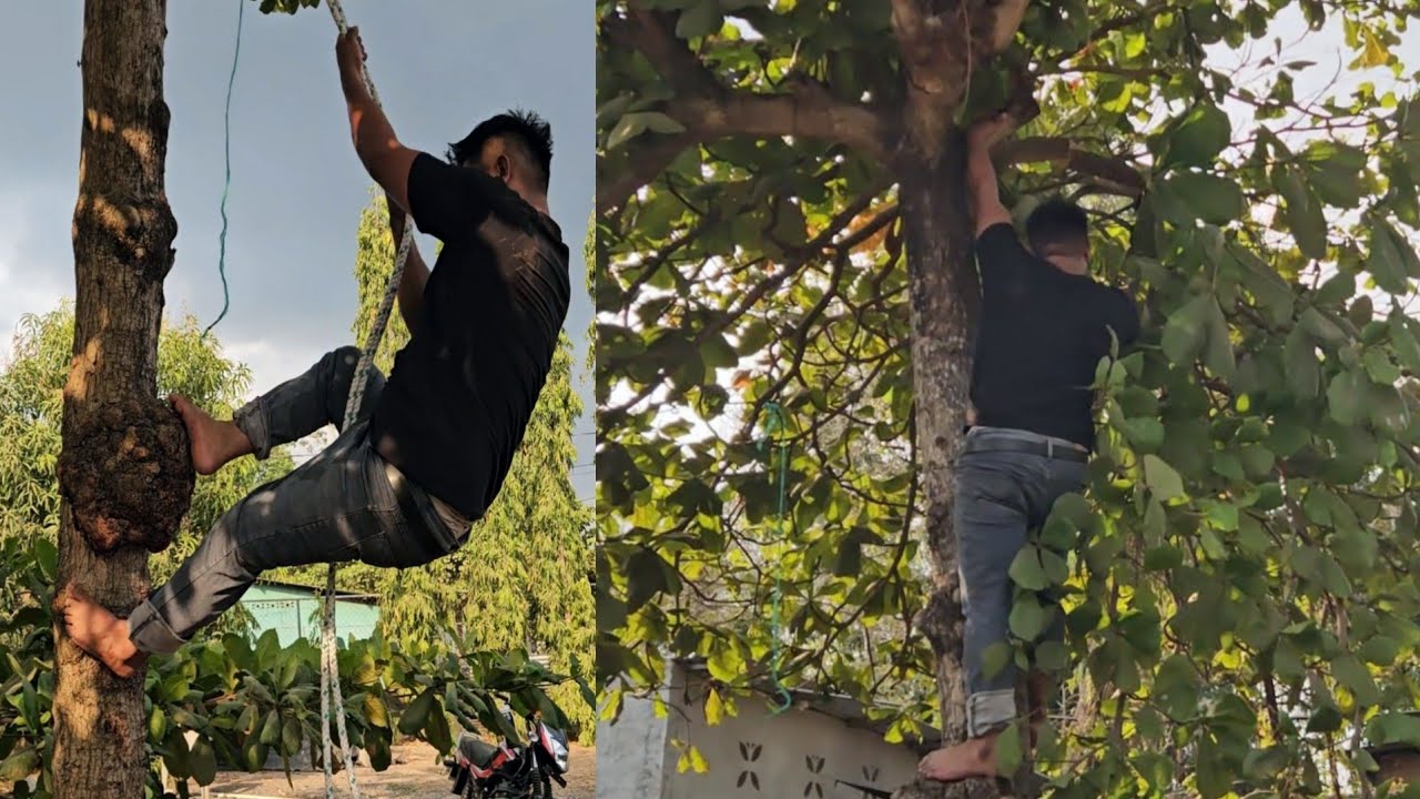 Mynor bota los árboles. Aqui aremos un Rancho 😨