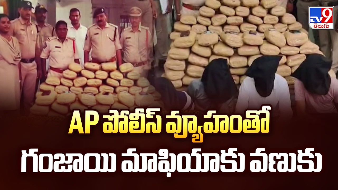 AP Police Operation Ganja Mafia | AP పోలీస్ వ్యూహంతో గంజాయి మాఫియాకు వణుకు - TV9