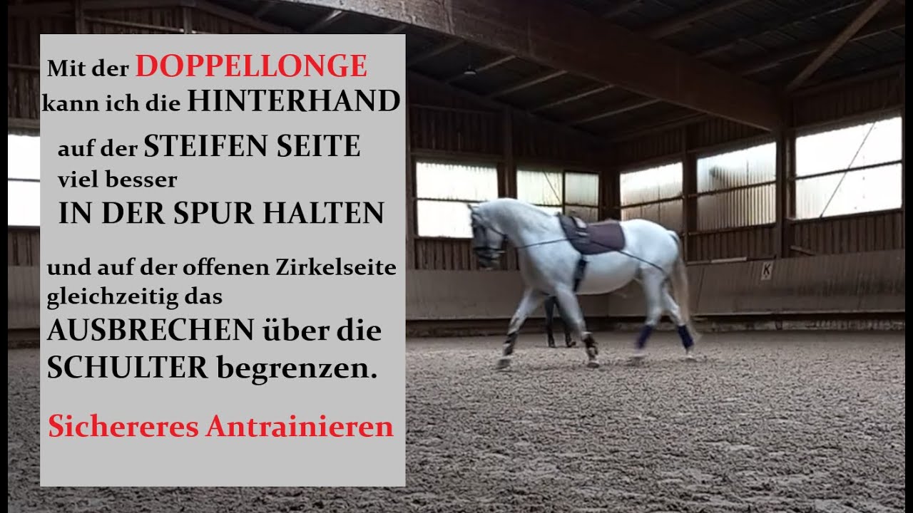 Mit der Doppellonge die Vorhand wieder vor die Hinterhand bringen