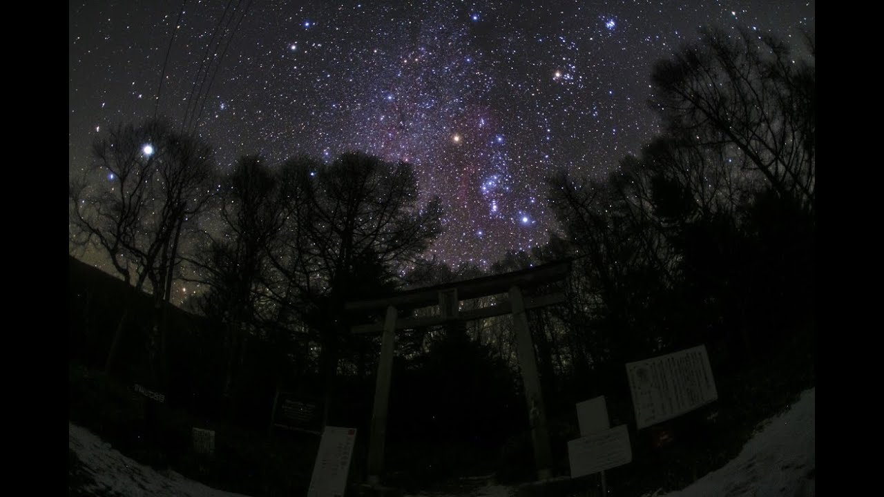 星空のある風景 タイムラプス#37　～ カラマツ林のオリオン / 蓼科山 ～　 Starry Night Timelapse #37