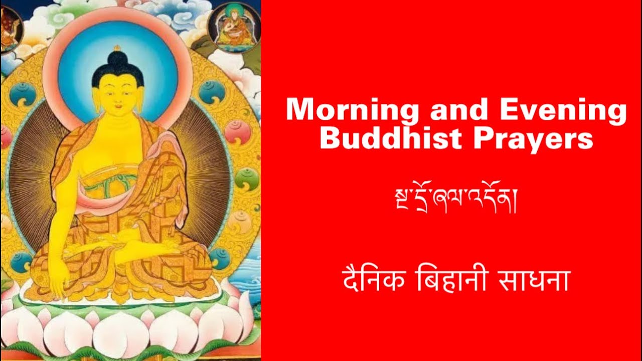 Morning and Evening Buddhist Prayers(སྔ་དྲོ་ཞལ་འདོན།) दैनिक बिहानी साधना #buddhistprayer #prayer 