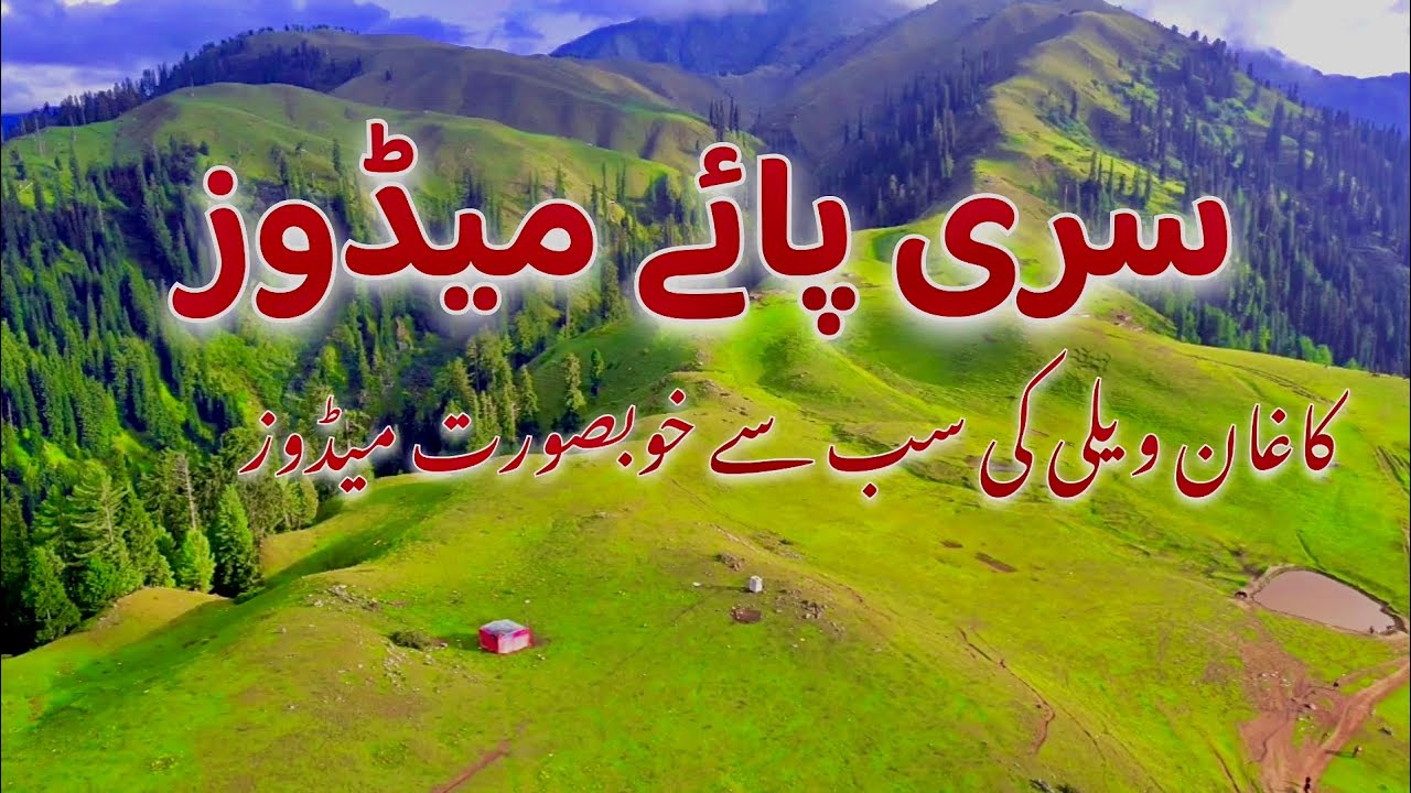SHOGRAN | Seri Paye Meadows | 4k Drone View 