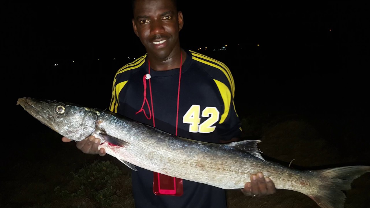 Bajan Fish Prickers patty barrcuda 12 03 2017