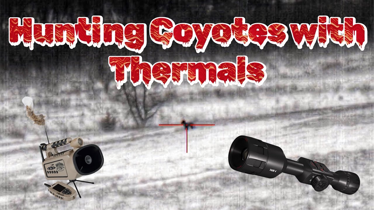 Thermal Coyote Hunting in Iowa | some tips and tricks along the way!(SUCCESSFUL HUNT)