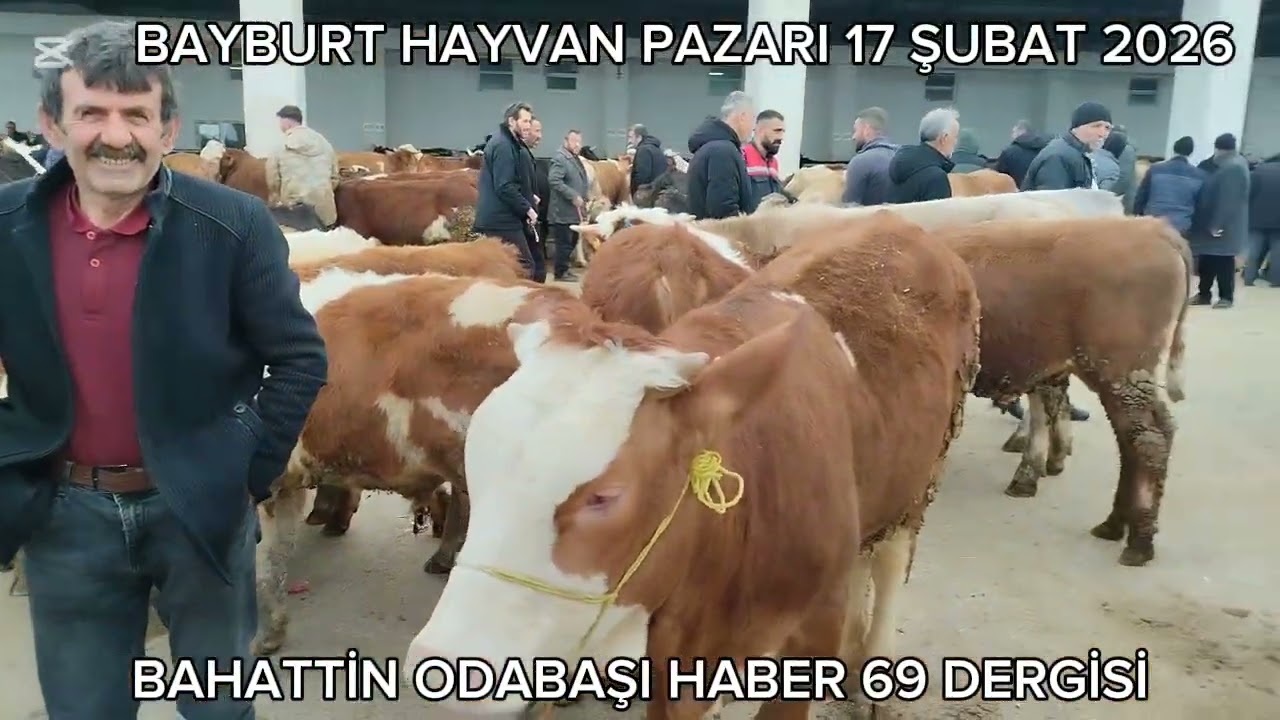 18 Şubat 2026