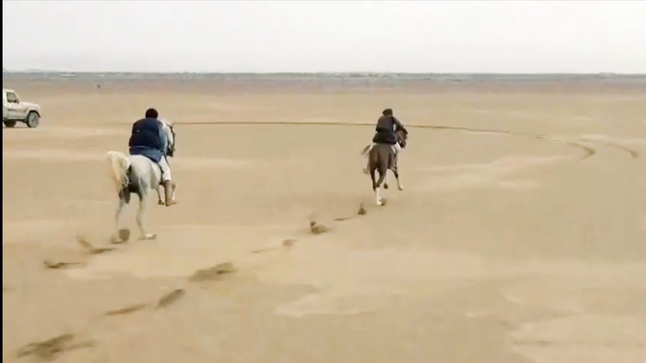 سباق الخيول منتزه الجرداء السياحي مارب اليمن yemen