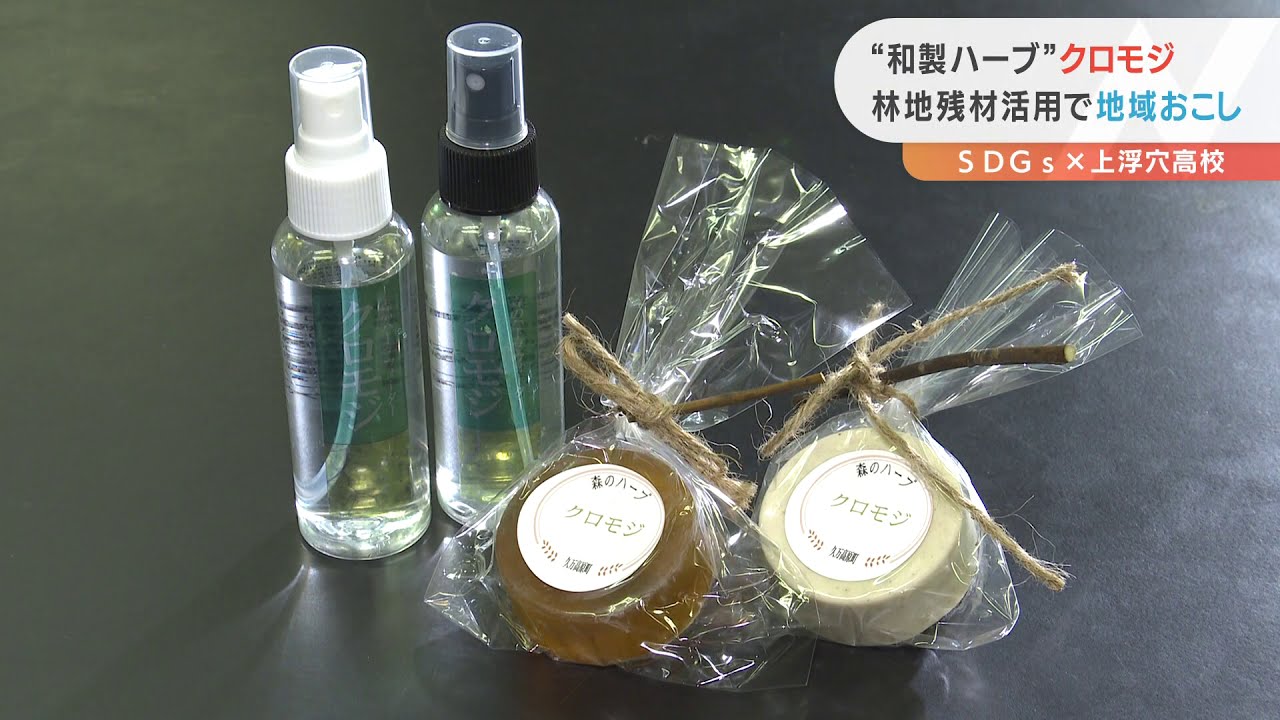 Nスタえひめ　未来を変えるSDGs 「上浮穴高校　クロモジで特産品づくり」