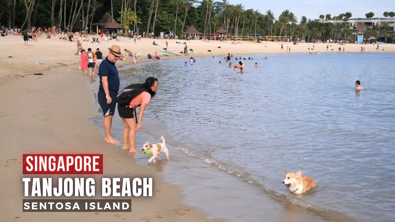 【4K】Singapore | Sentosa Island | Tanjong Beach | July 2022