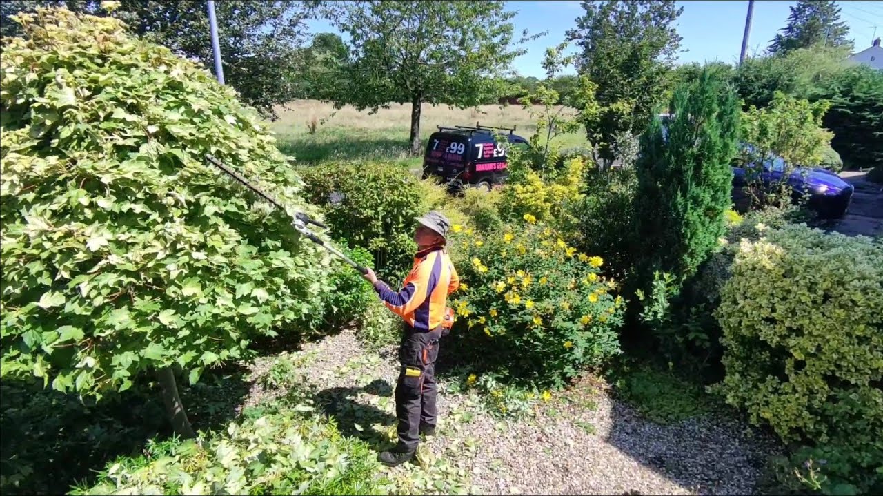 If Carlsberg did pruning......