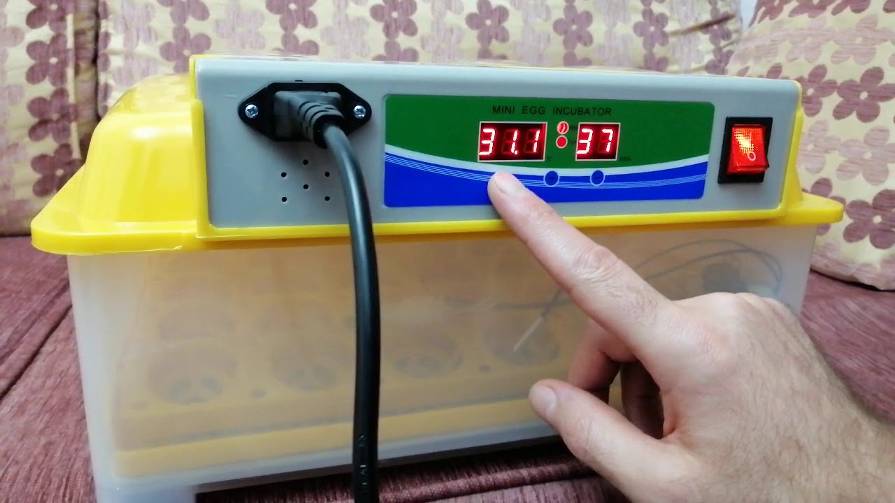 35 lik kuluçka makinesi kurulumu