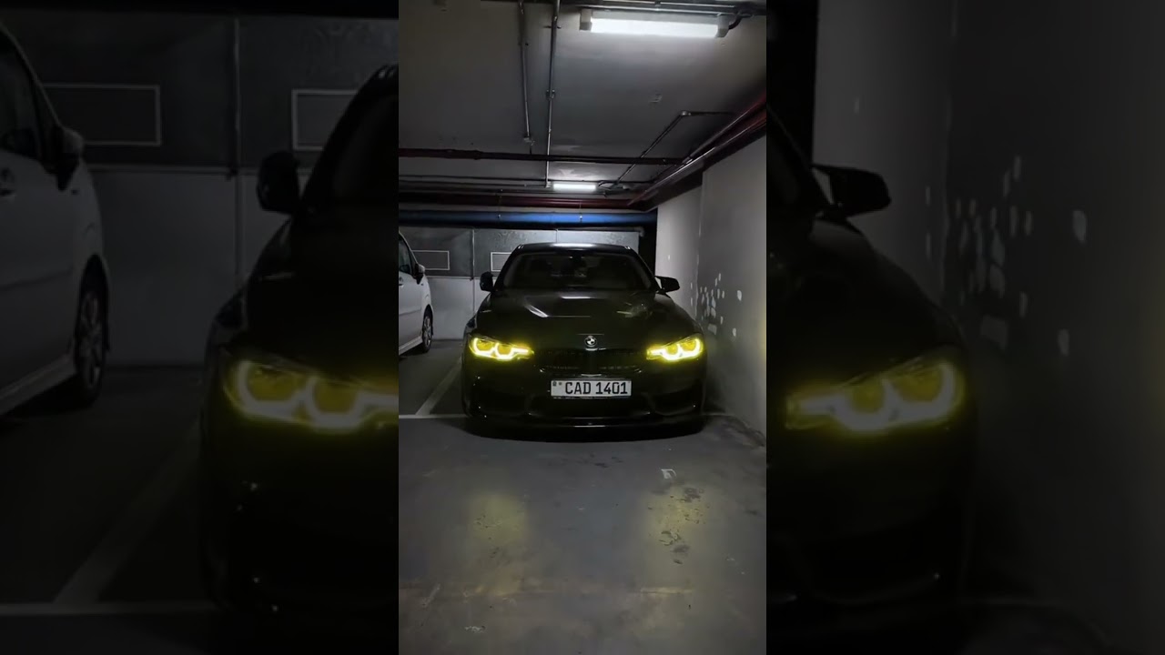 Made In Germany 🇩🇪