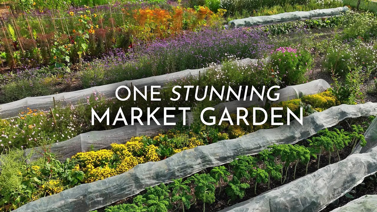 Inspirational No Dig Market Garden Grows Food, Flowers, & Thriving Communities