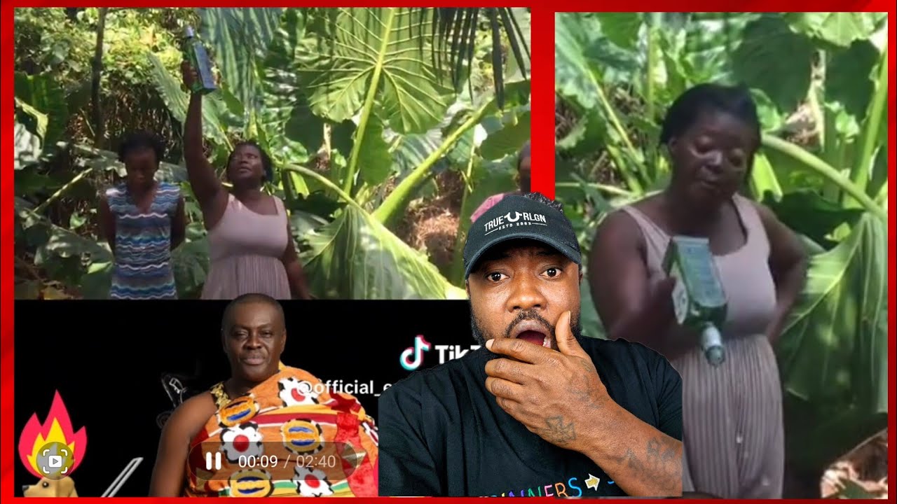 Dormaahene sisters rains curses on anyone who inśult Dormaahene and tag him with dormaa borla 🤣🔥