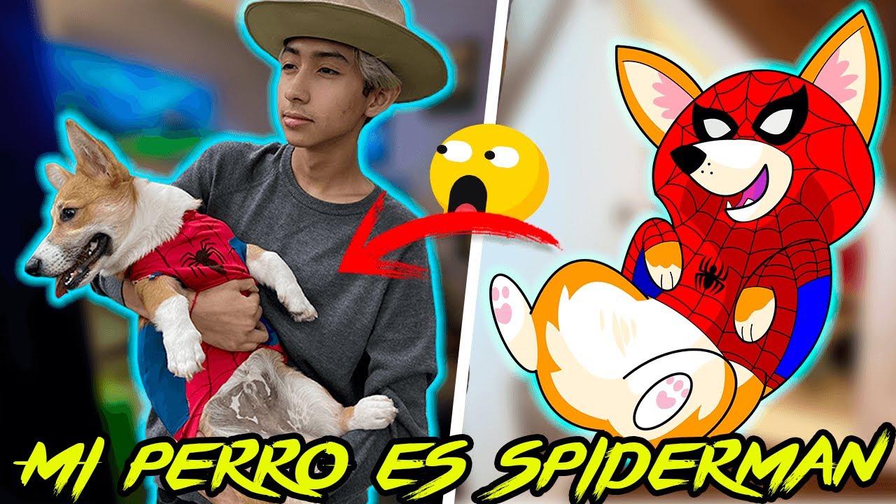 ¡LE HICE UN TRAJE DE SPIDERMAN A MI PERRITO!/ EL PERRO ARAÑA - IVANSPIDEY