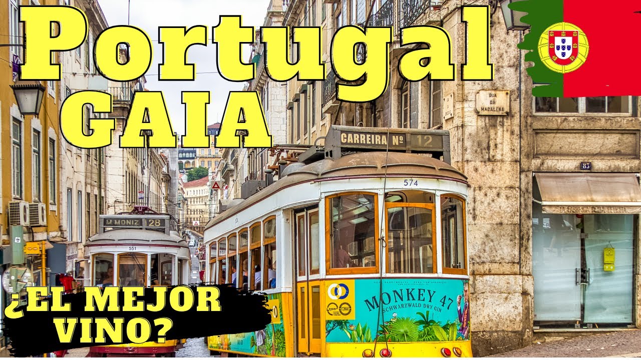 VILANOVA DE GAIA visita en PORTUGAL || ¿Cuánto DINERO se GASTA?
