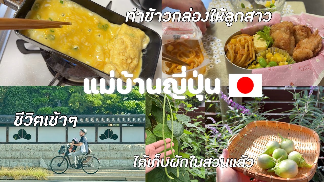 #501 แม่บ้านญี่ปุ่น🇯🇵ชีวิตเช้าๆ| ทำเบนโตะให้ลูกสาว| ผักในสวนออกแล้ว| น่าจะเป็นออฟฟิศซินโดรม ปวดมาก