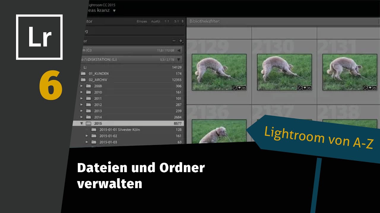 Lightroom Tutorial von A-Z Teil 6: Dateien und Ordner verwalten