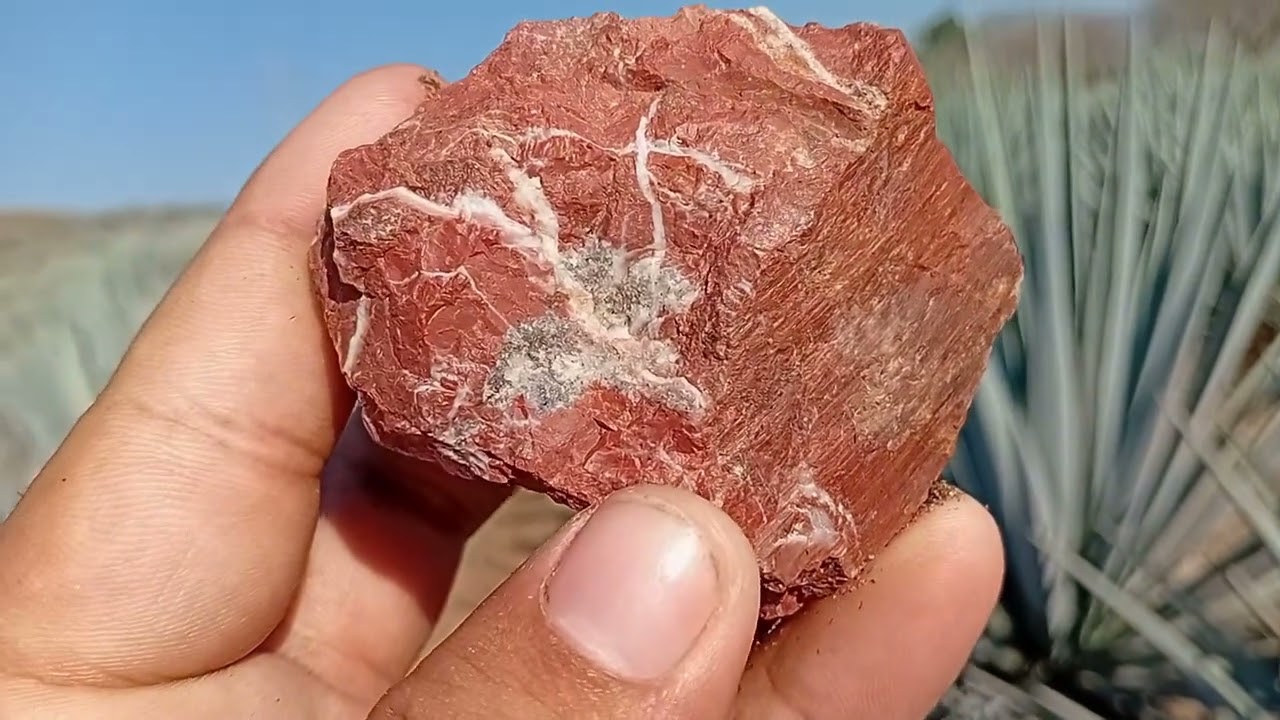 Excelente recolección de RESTOS PREHISPANICOS y minerales Jalisco Mucha OBSIDIANA Y cosas CURIOSAS