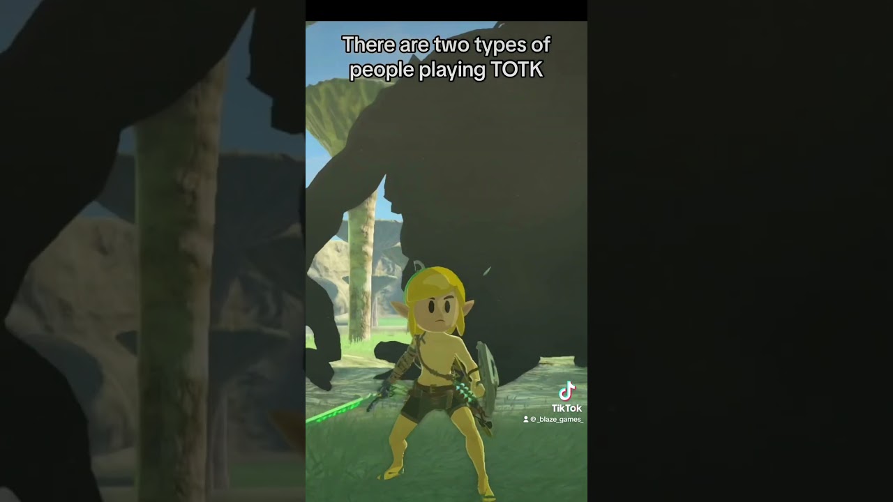 Two Types of Zelda TOTK Players 
