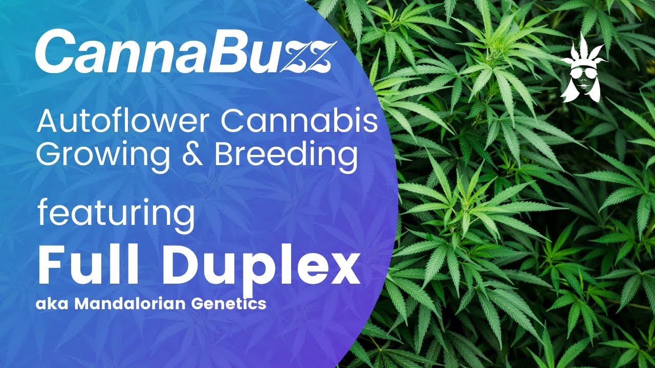 Pot Size for Autoflowers Indoor & Outdoor