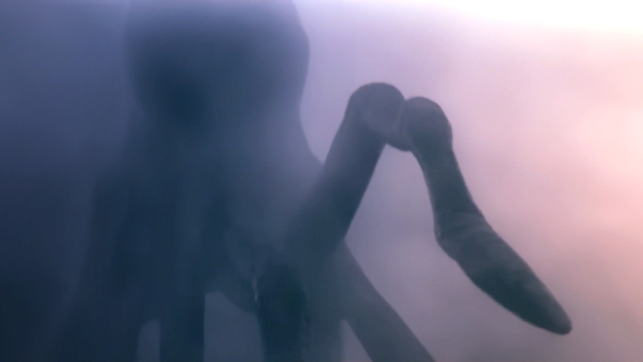 Trance Mission Concluded (Official Music Video)