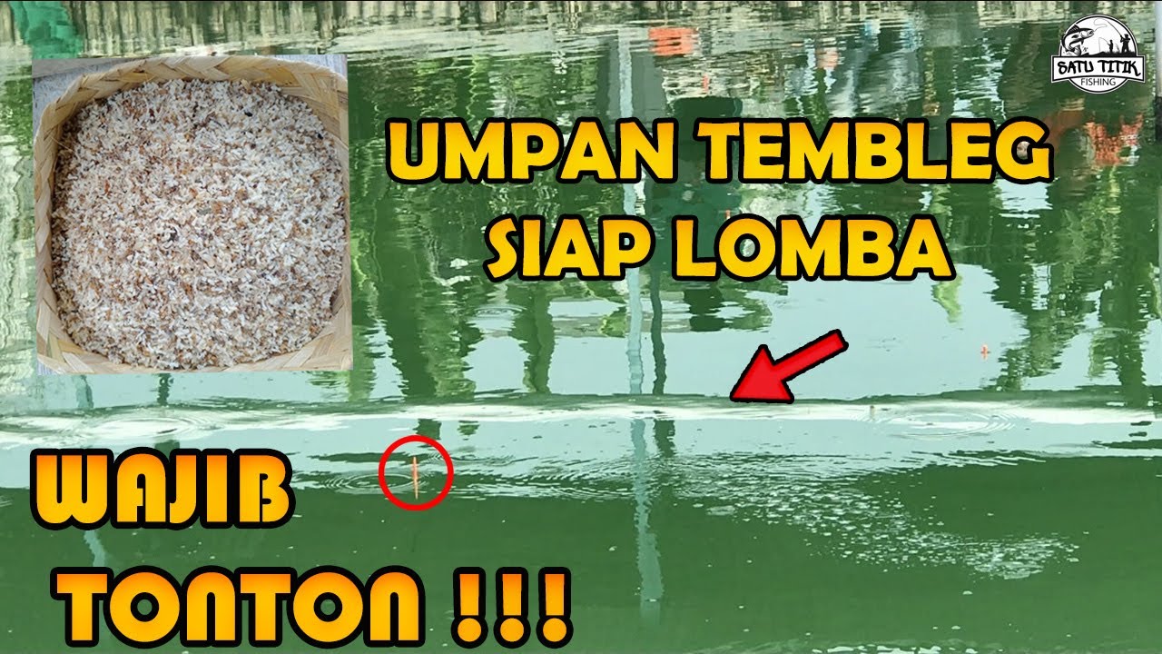 #UMPAN LEGENDARIS IKAN MAS || SEMI TEMBLEG || BABON IKAN MERAH SAMPAI LAHAP