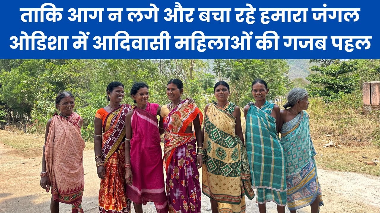जंगल के रखवाले: ओडिशा की ये आदिवासी महिलाएं कैसे बचा रही हैं जंगल? | IndiaSpend
