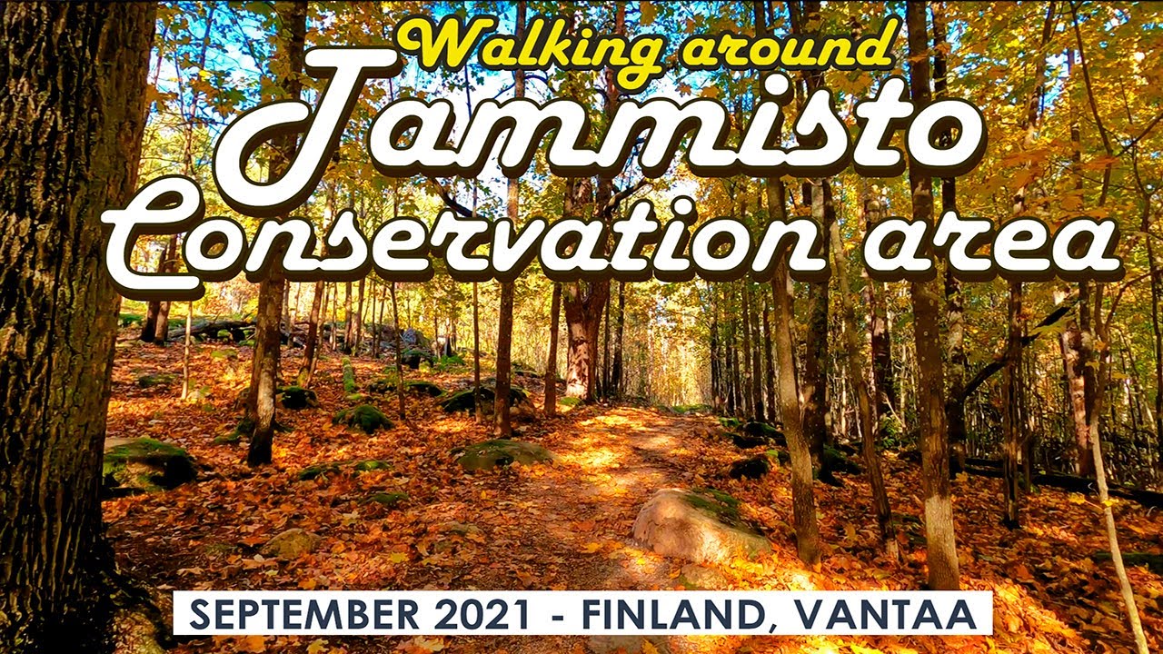 Vantaa Walk: Tammisto Nature Conservation Area,  Late September 2021, Finland [4K]