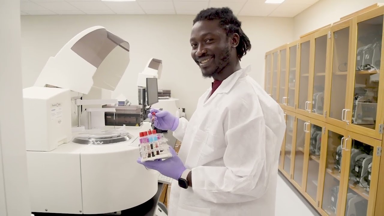 Medical Laboratory Technician: HCC Coleman College