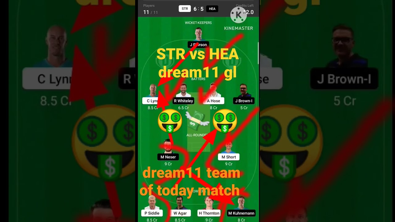 str vs hea , Str vs hea dream11 prediction, Cricket tik tok, hea vs str dream11