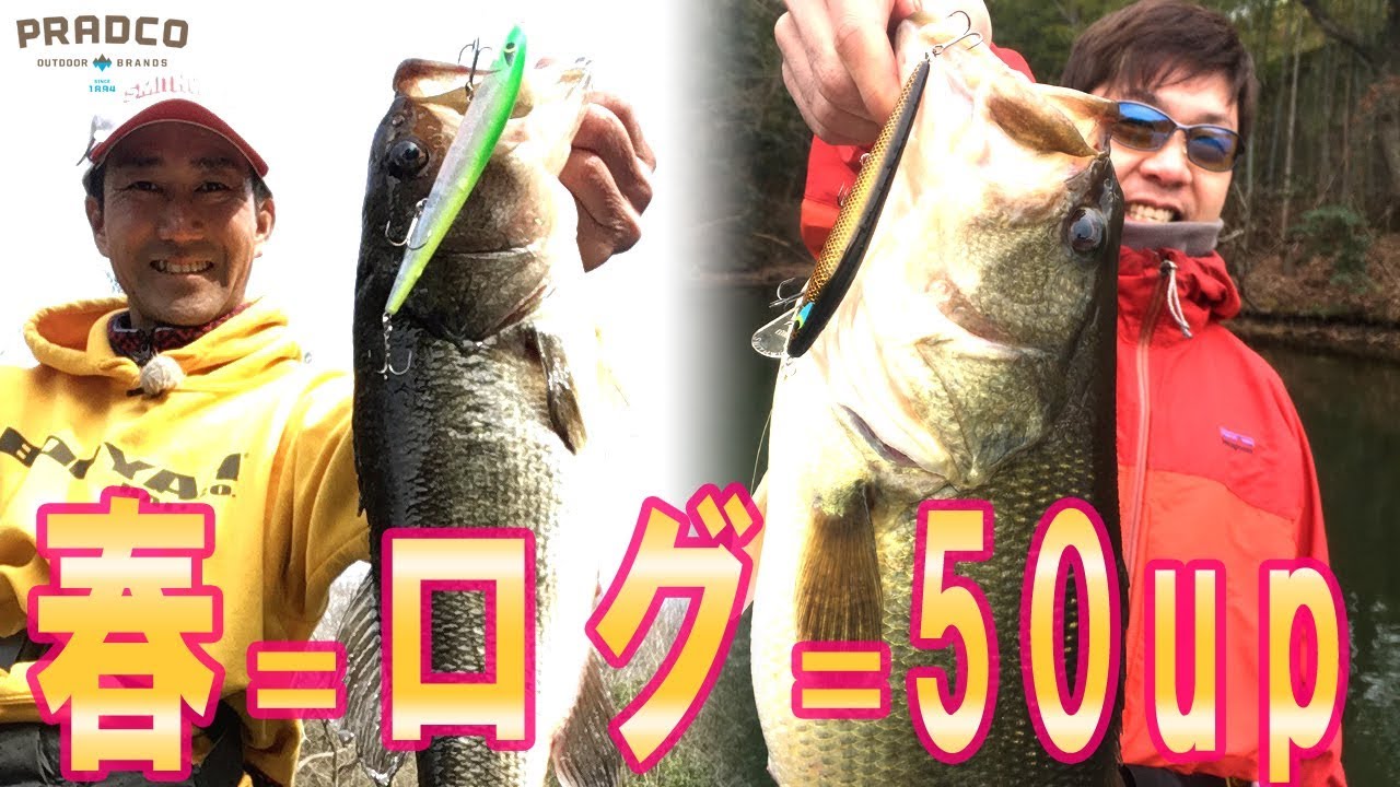 高確率でランカー！春はサスペンドログシリーズで決まり！　プラドコTVバス釣り動画