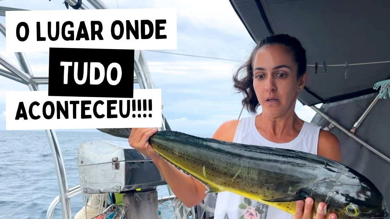 155 l 3 PEIXES, 2 LAGOSTAS e 1 CARANGUEJO. Escudos de Veraguas, um destino imperdível no Panamá!