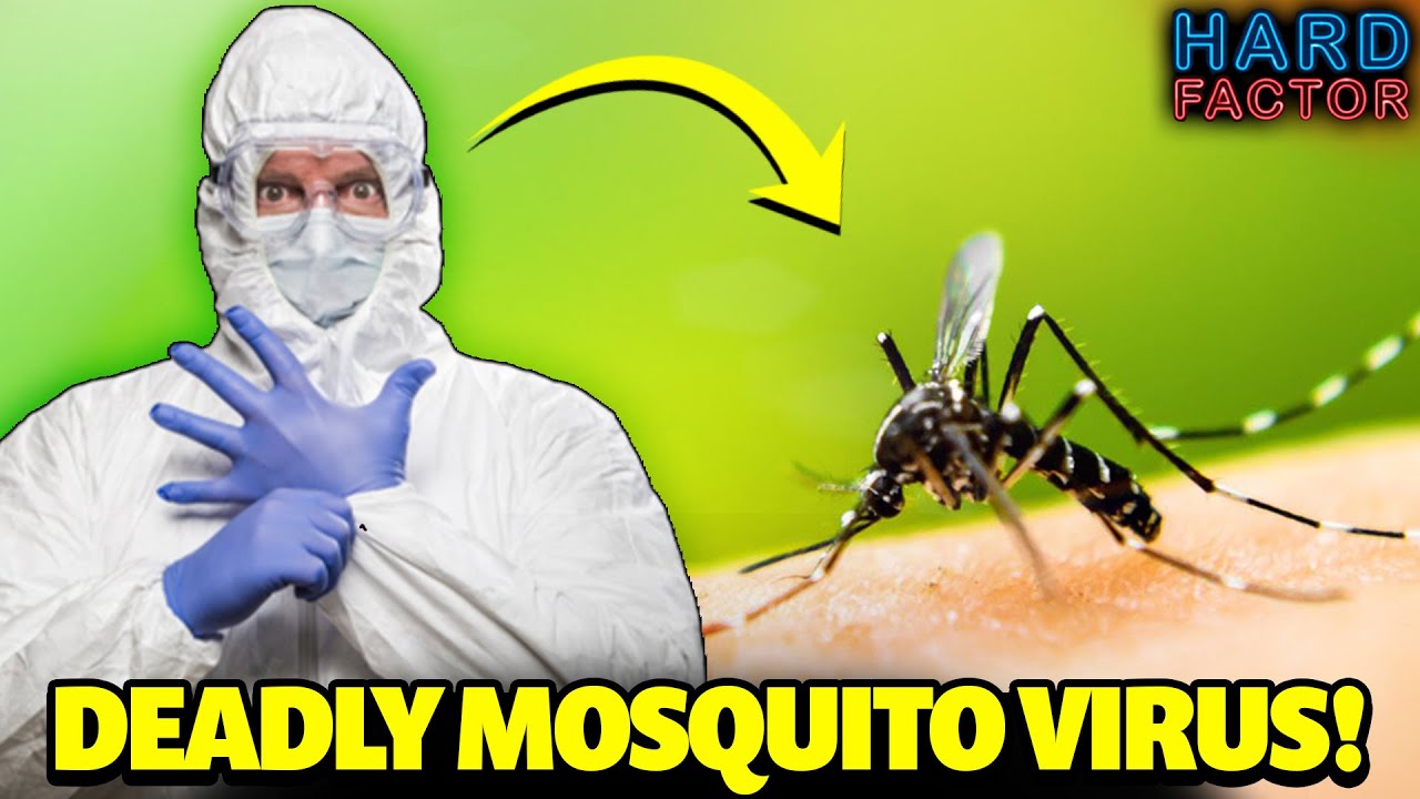 Deadly Mosquito Virus Prompts 6 PM Curfew In Massachusetts!