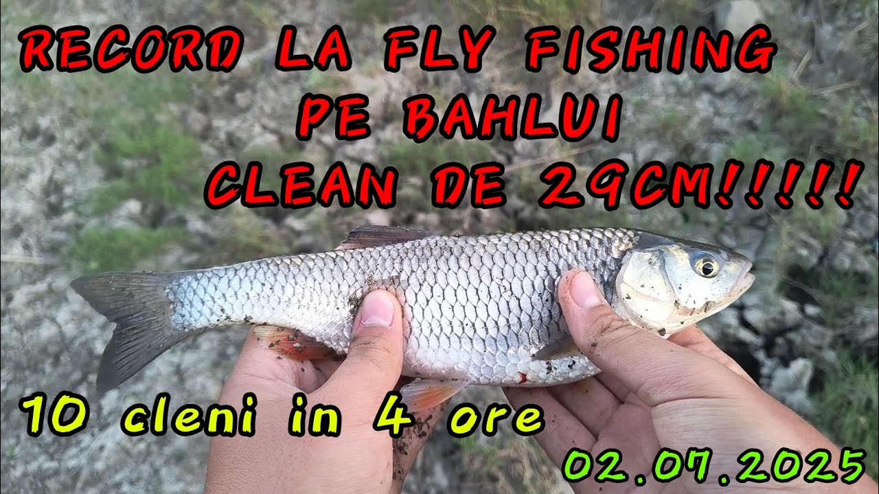 🎣 RECORD la Fly Fishing: Clean de 29cm pe Râul Bahlui! (+ 10 Cleni în 4h)