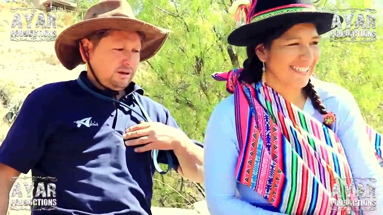 Huaytacha cambia el sentimiento de gato loco