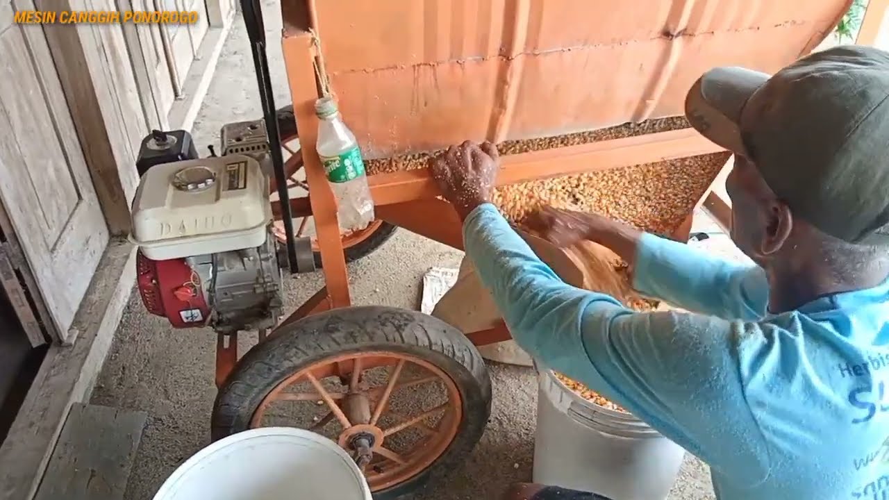 Mesin pipil jagung terbaru sistem Drum seng & disel ethek Daiho hasil cepat bersih 2023 fajar selep