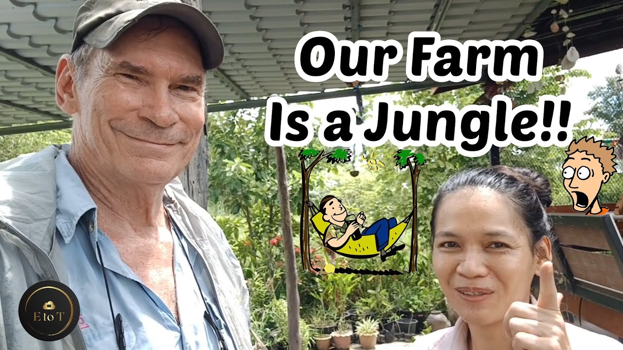 Rainy Season Solar Farm Update | MTGA 2024