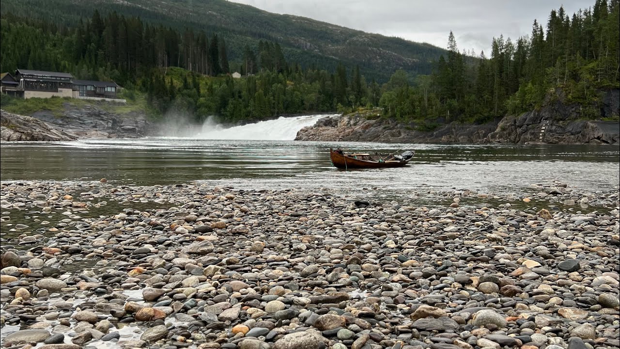 Vefsna laksfors drill på stor lax 19,2