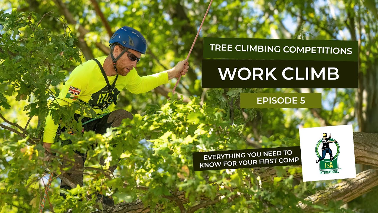 Episode 5 - The Work Climb - Tree Climbing Competitions - Everything you need to know