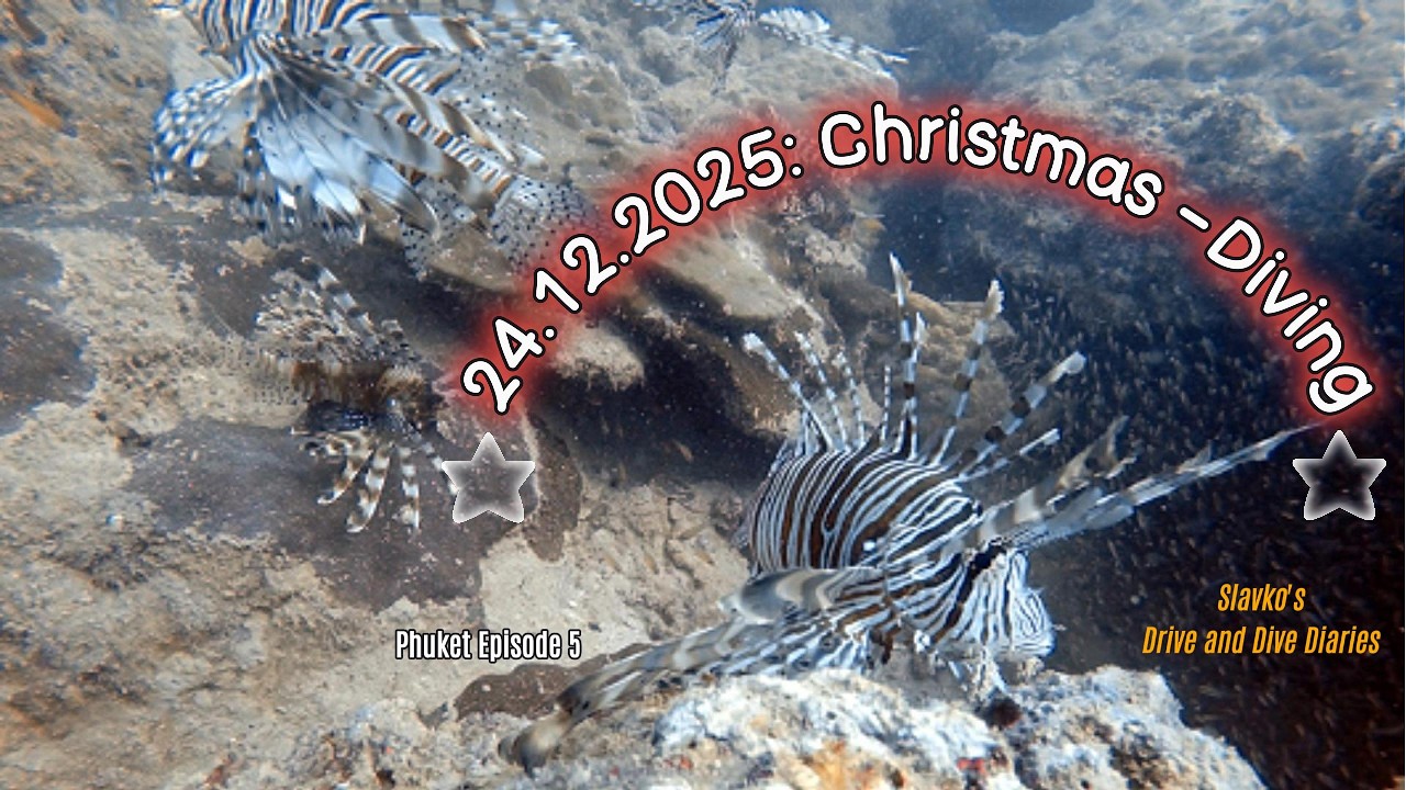 Christmas Dive in Phuket – Barrakudas, Korallen & ein besonderer Heiligabend