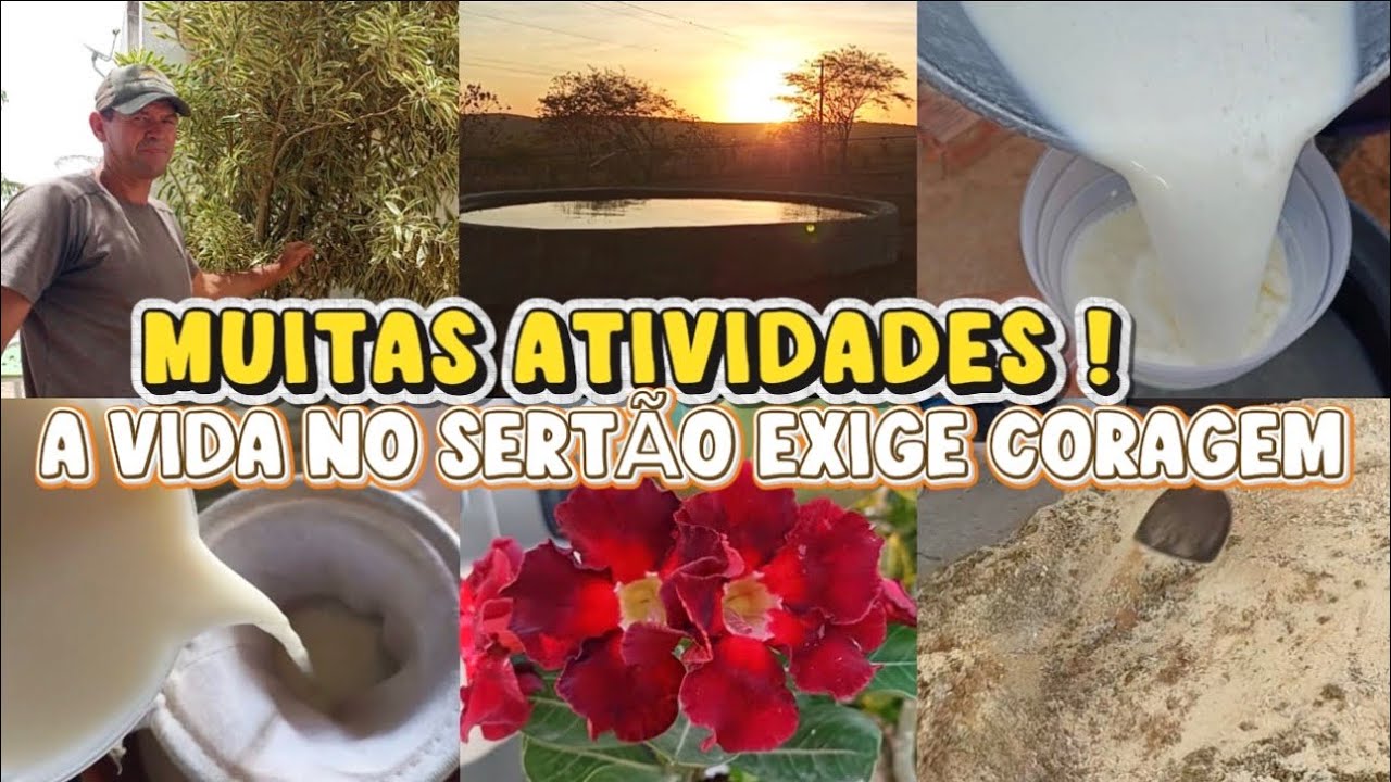 ROTINA DA MANHÃ+PREPARO DA RAÇÃO DOS ANIMAIS+CUIDANDO DAS PLANTAS 