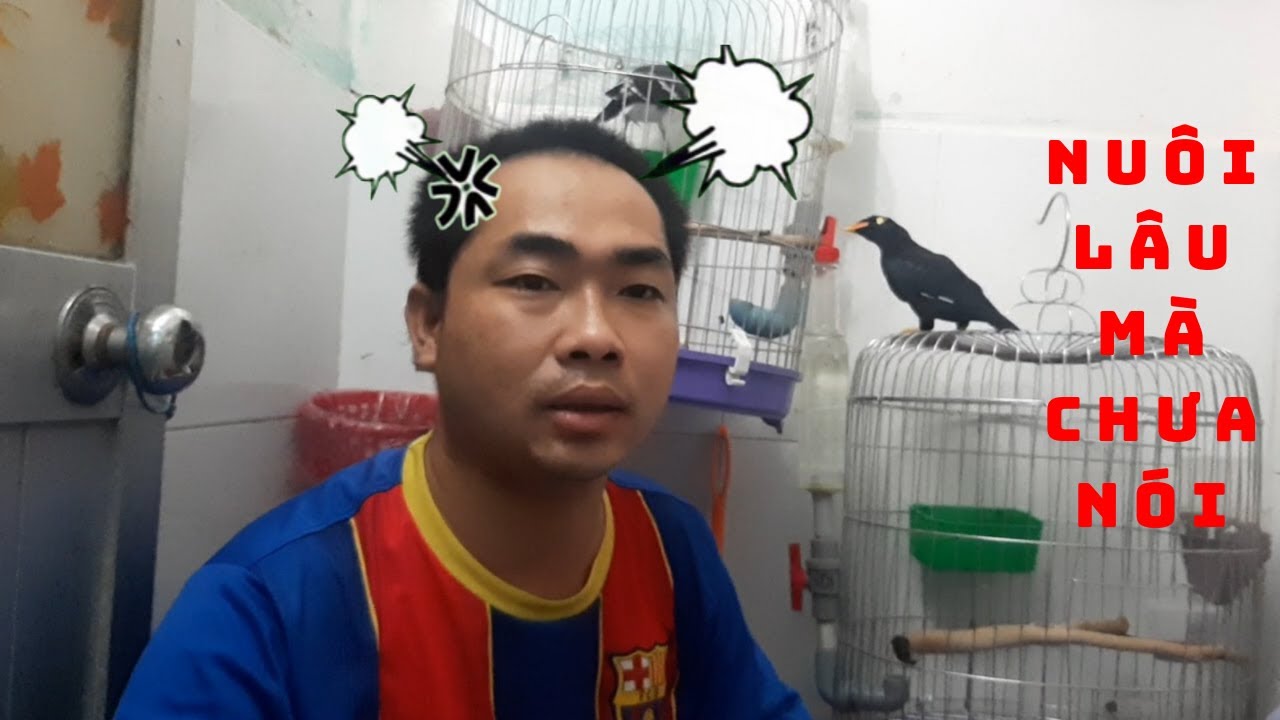 Tại Sao Nu&ocirc;i L&acirc;u M&agrave; Chim Kh&ocirc;ng N&oacute;i Chuyện II Why can't birds talk @KhiNguyen Vlog