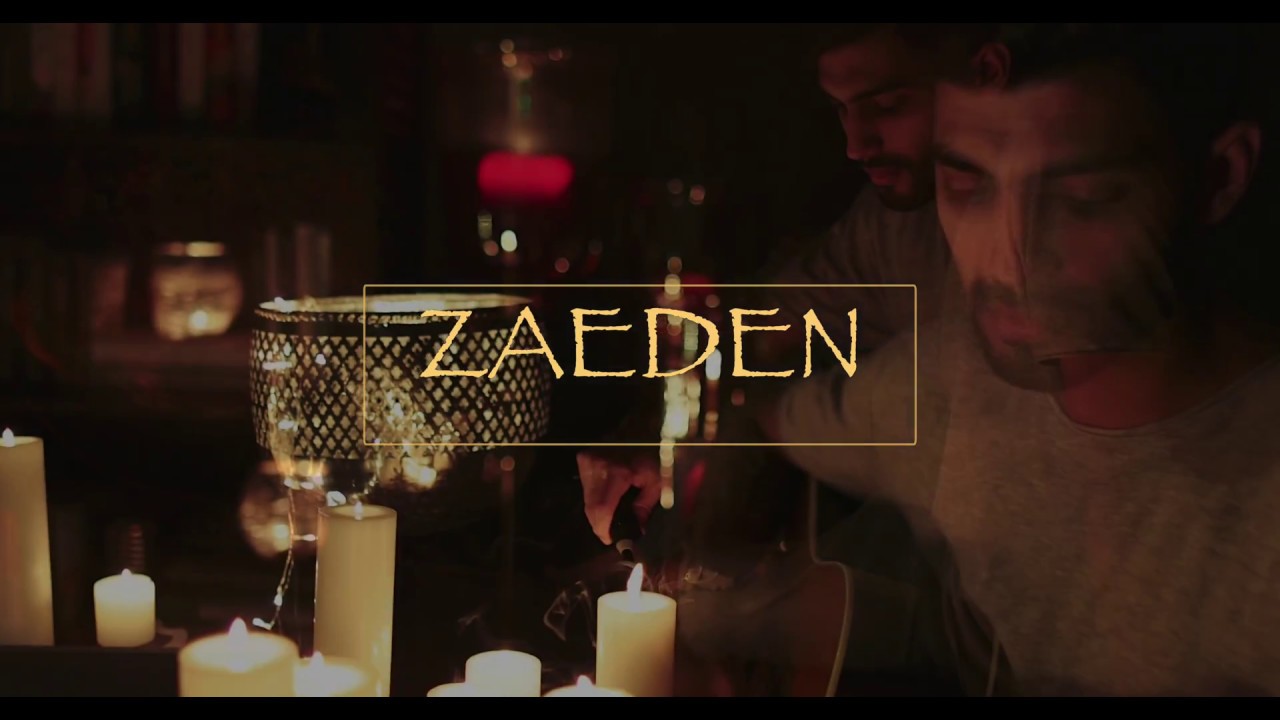 ZAEDEN Cover | Ed Sheeran | James Arthur | Zayn | Zedd Mashup | BEST OF POP