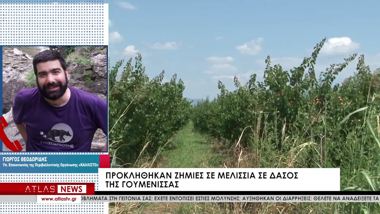 Οι αρκούδες επέστρεψαν στο Όρος Παϊκο μετα απο δεκα χρονια