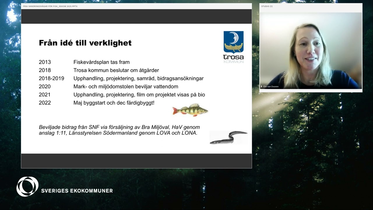 Webbinarium: Från noll till 35 000 fiskar