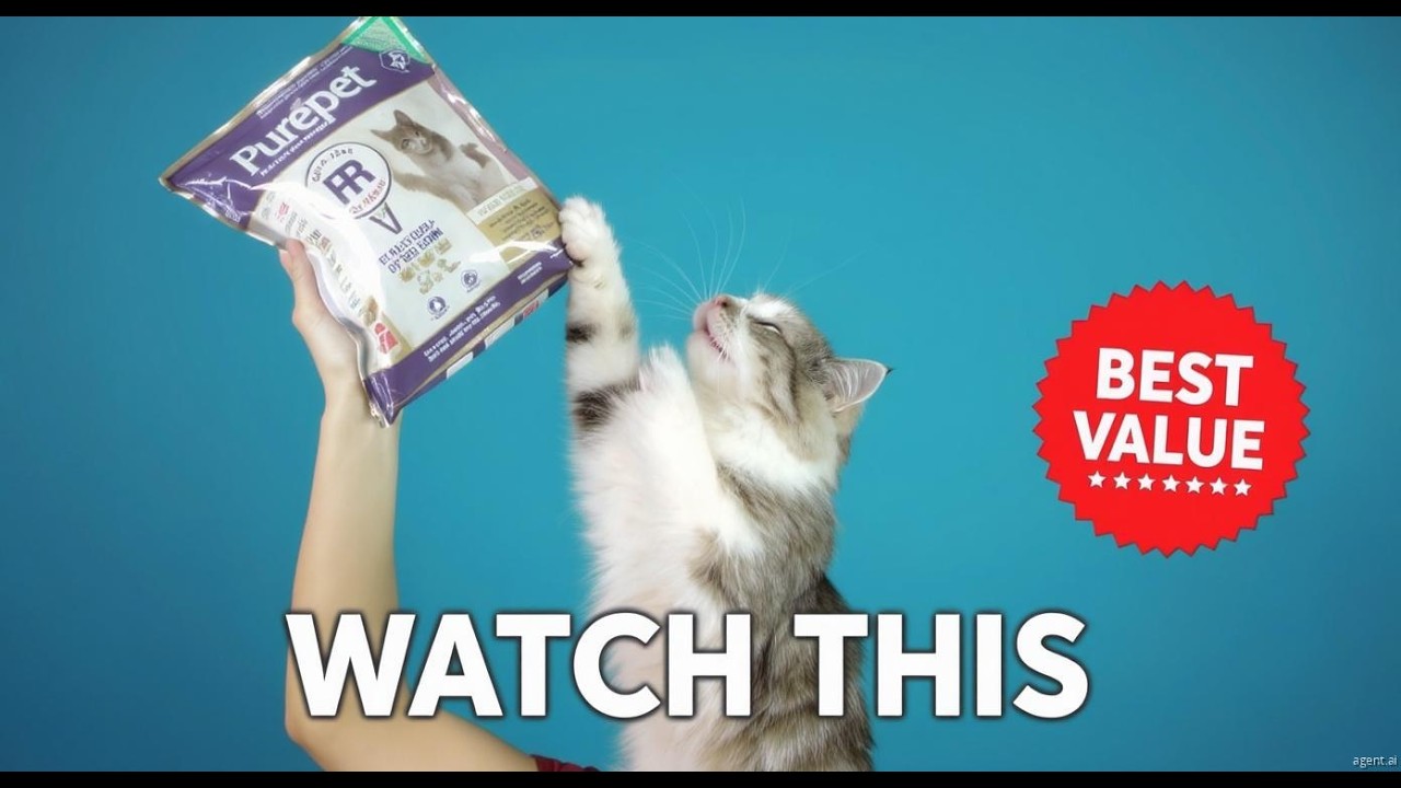 Purepet Cat Food !!! ... !!!
