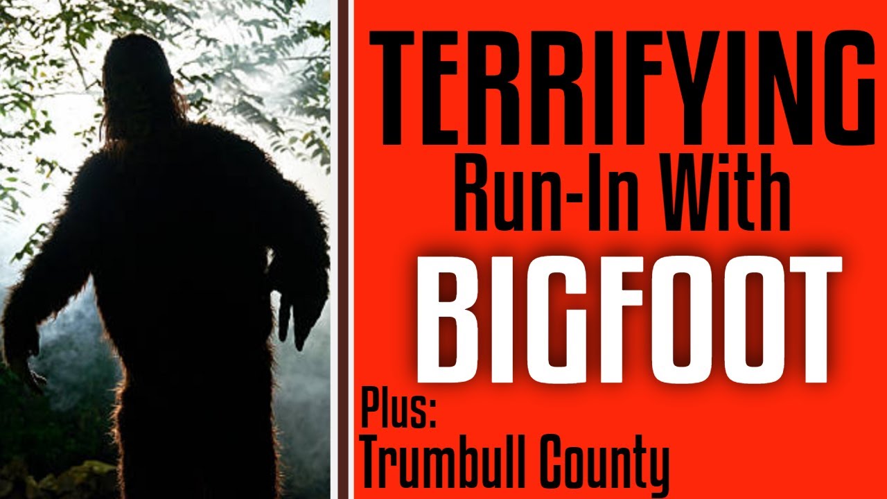 Woman and Dog have Terrifying Run-In with Bigfoot - Plus a Trumbull County sighting.