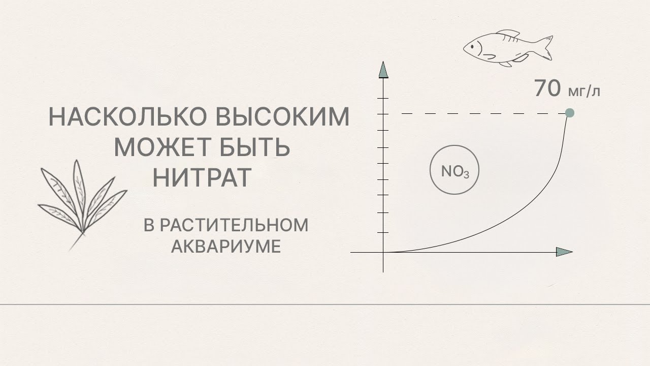 Насколько высоким может быть нитрат в аквариуме?