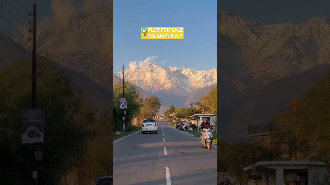 Plot for Sale in Palampur, Himachal Pradesh #himachalpradesh #palampur #teagarden #dhauladharrange