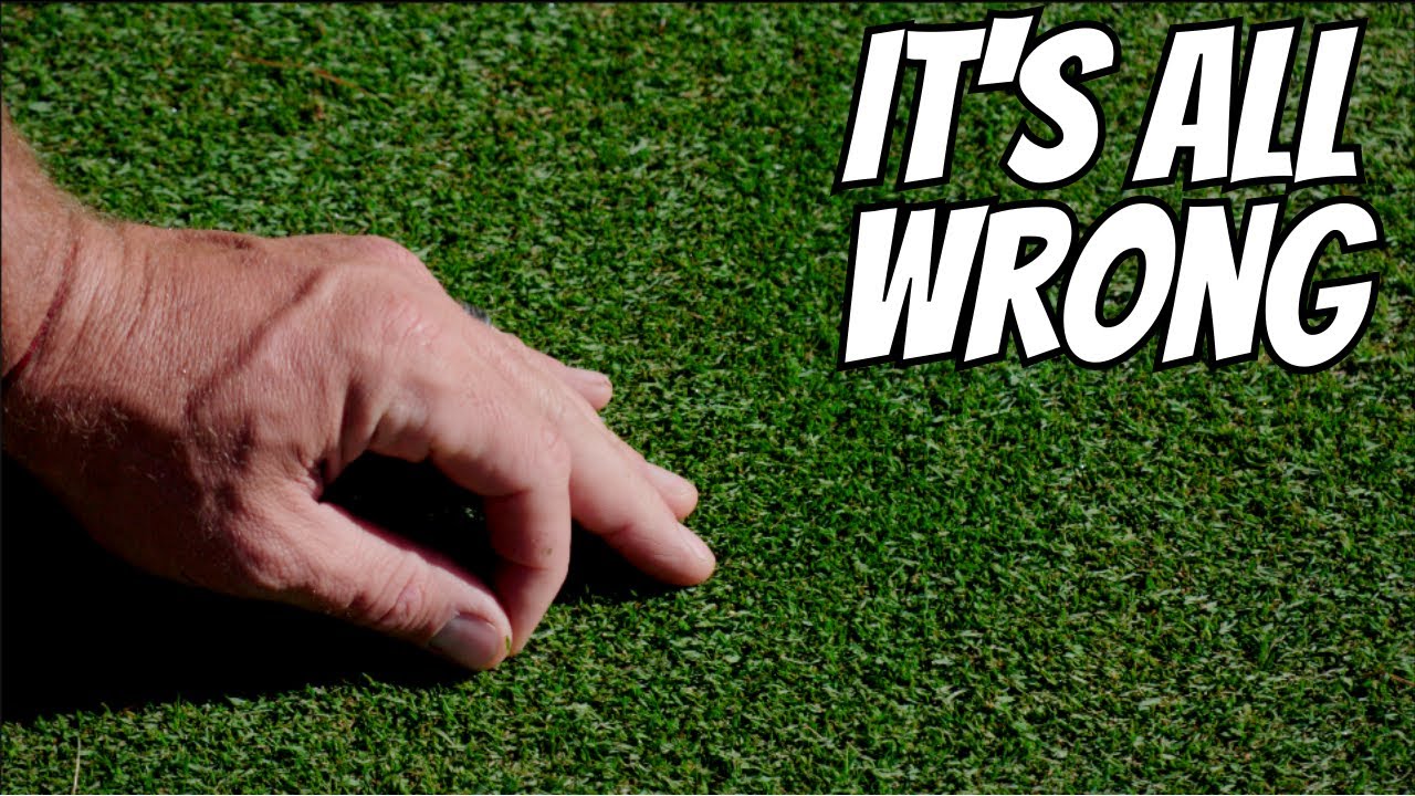 Everything I've EVER DONE in LAWN CARE is WRONG.